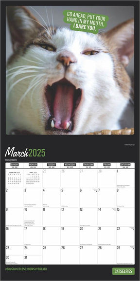 2025 Cat Selfies Calendar