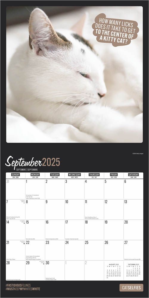 2025 Cat Selfies Calendar