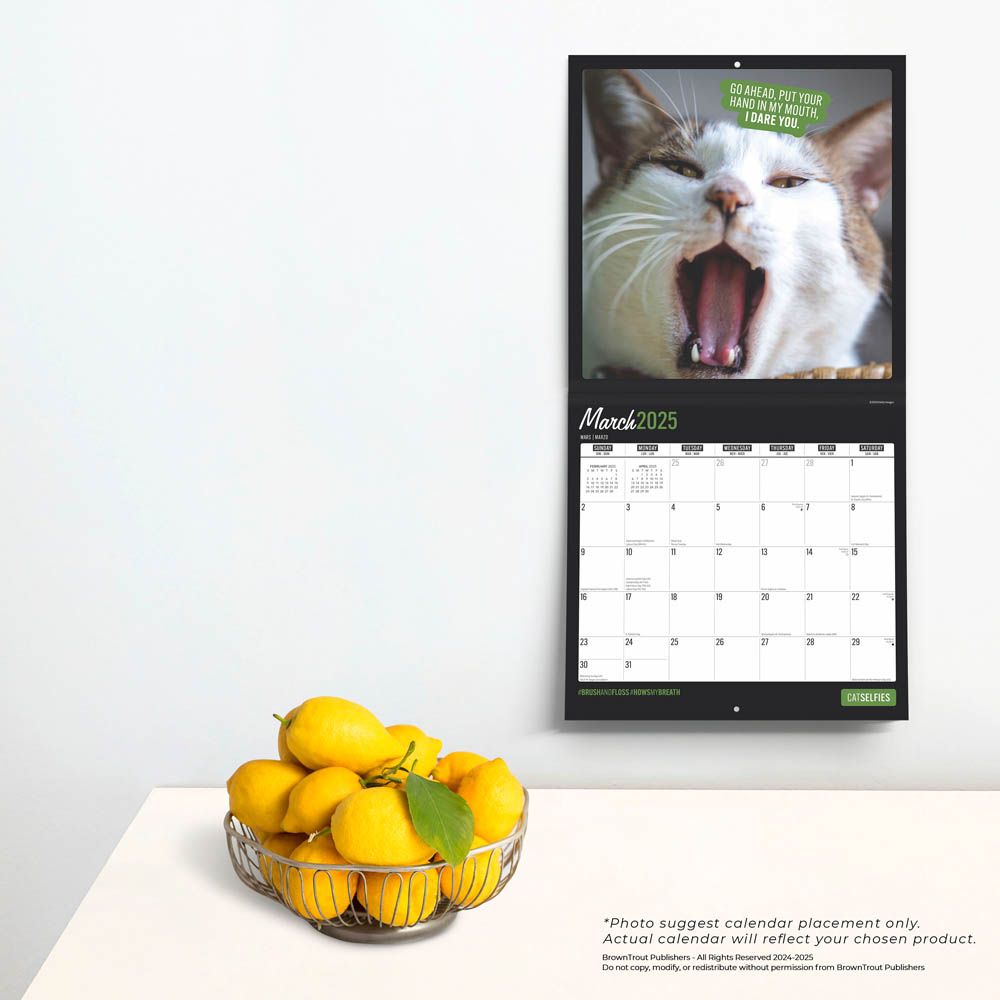 2025 Cat Selfies Calendar