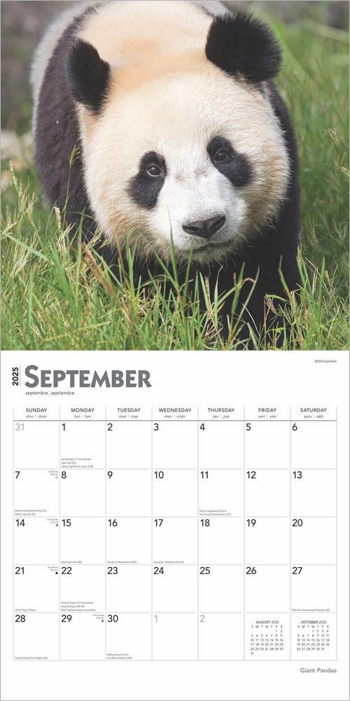 2025 Giant Pandas Calendar