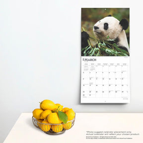 2025 Giant Pandas Calendar