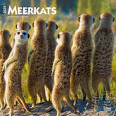 2025 Meerkats Calendar