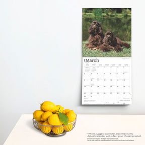 2025 American Cocker Spaniels Calendar