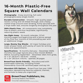 2025 Alaskan Malamutes Calendar