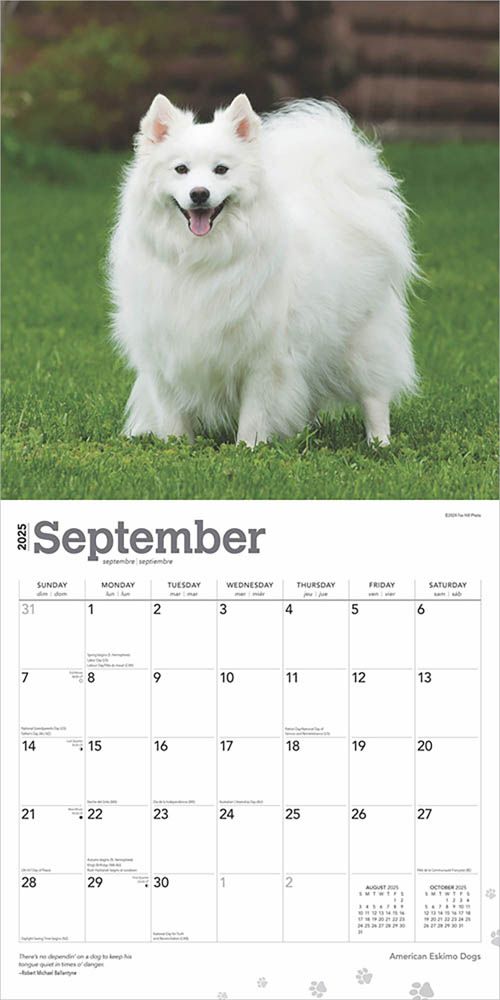 2025 American Eskimo Dogs Calendar