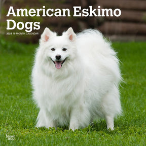 2025 American Eskimo Dogs Calendar