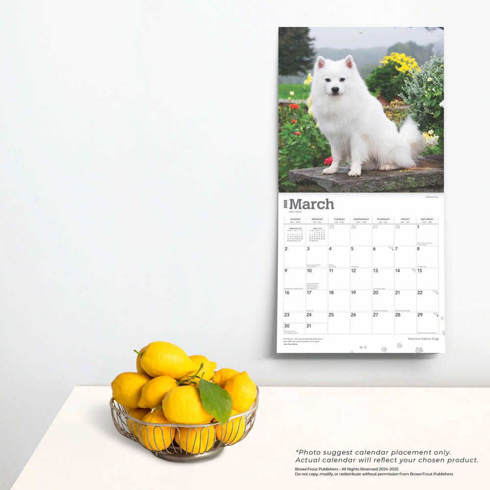 2025 American Eskimo Dogs Calendar