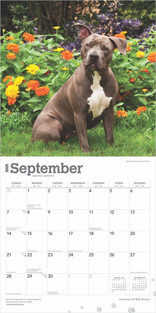 2025 American Pitbull Terriers Calendar