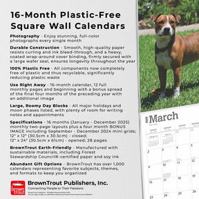 2025 American Pitbull Terriers Calendar