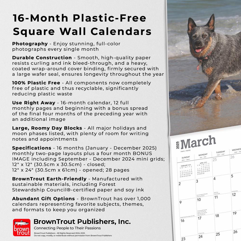 2025 Australian Cattle Dogs Calendar