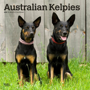 2025 Australian Kelpies Calendar