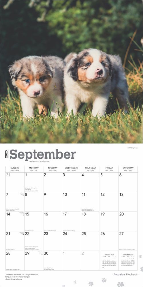 2025 Australian Shepherds Calendar