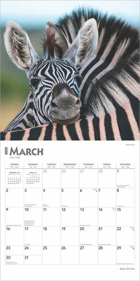 2025 Baby Animals Calendar