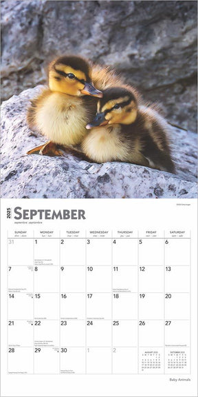 2025 Baby Animals Calendar