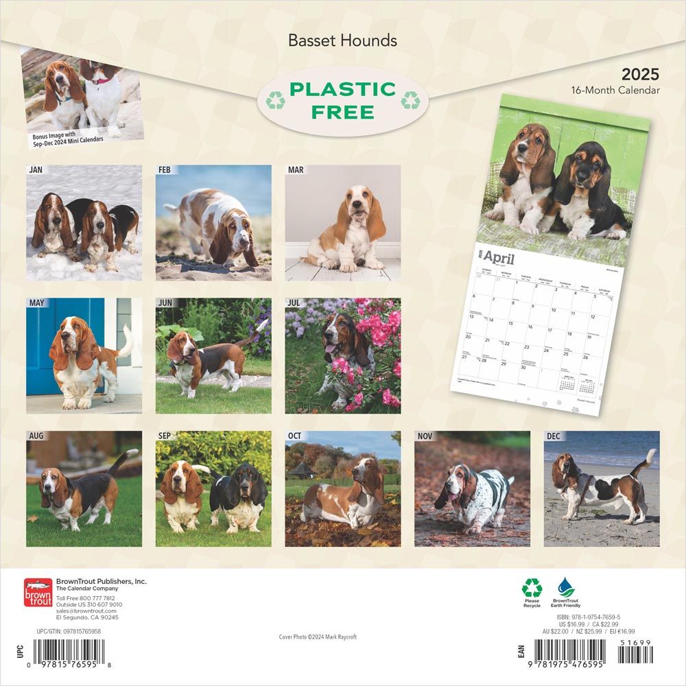 2025 Basset Hounds Calendar