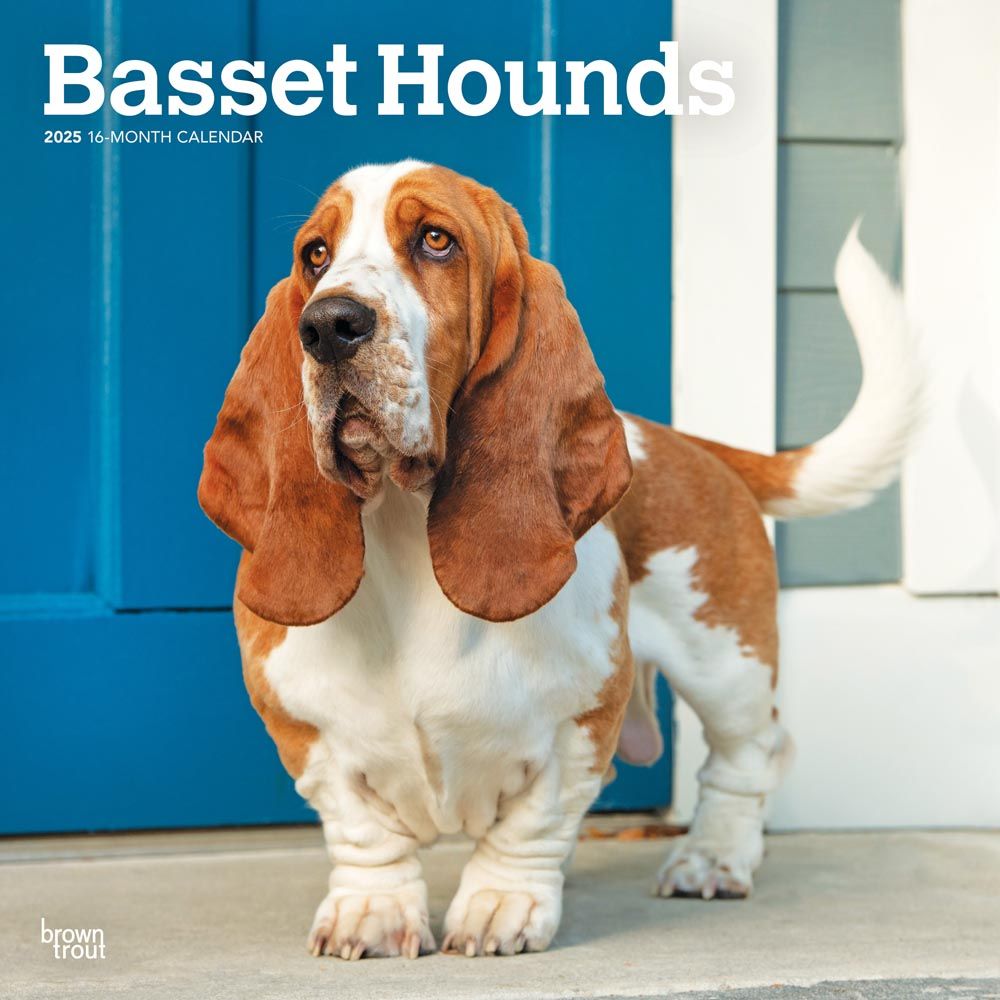 2025 Basset Hounds Calendar