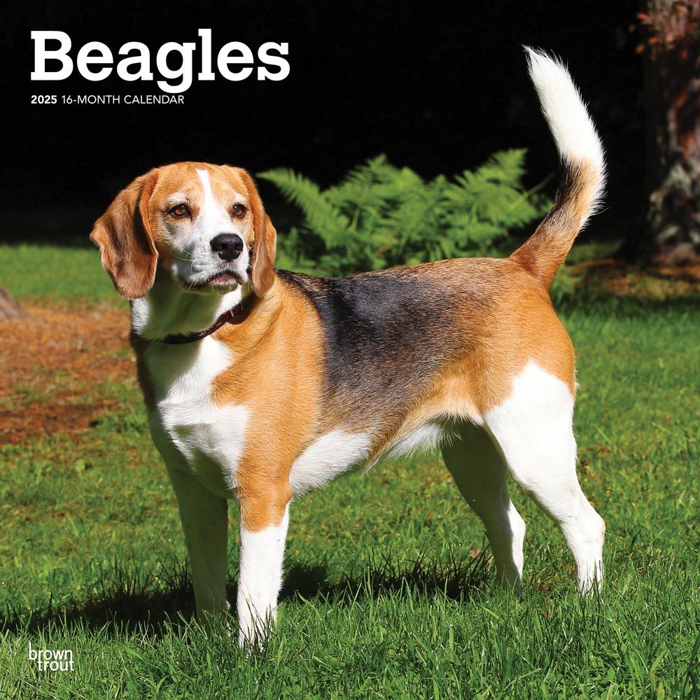 2025 Beagles Calendar