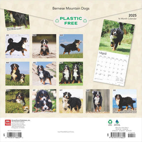 2025 Bernese Mountain Dogs Calendar