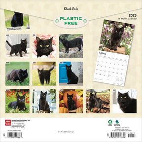 2025 Black Cats Calendar