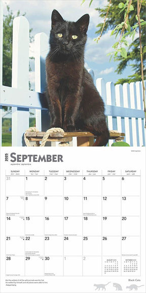 2025 Black Cats Calendar