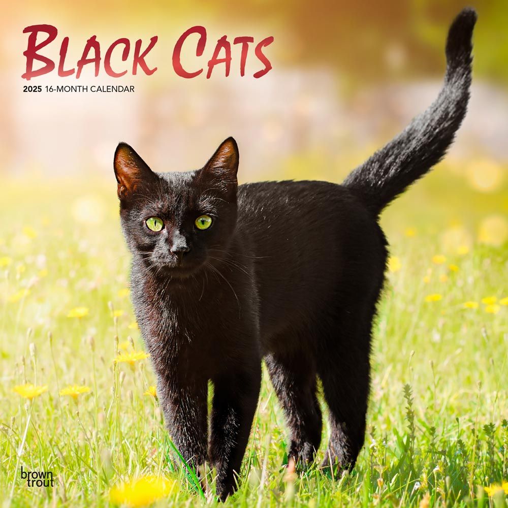 2025 Black Cats Calendar