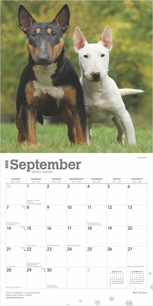 2025 Bull Terriers Calendar