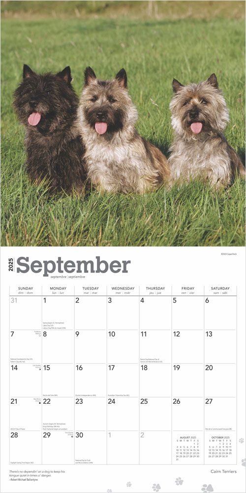 2025 Cairn Terriers Calendar