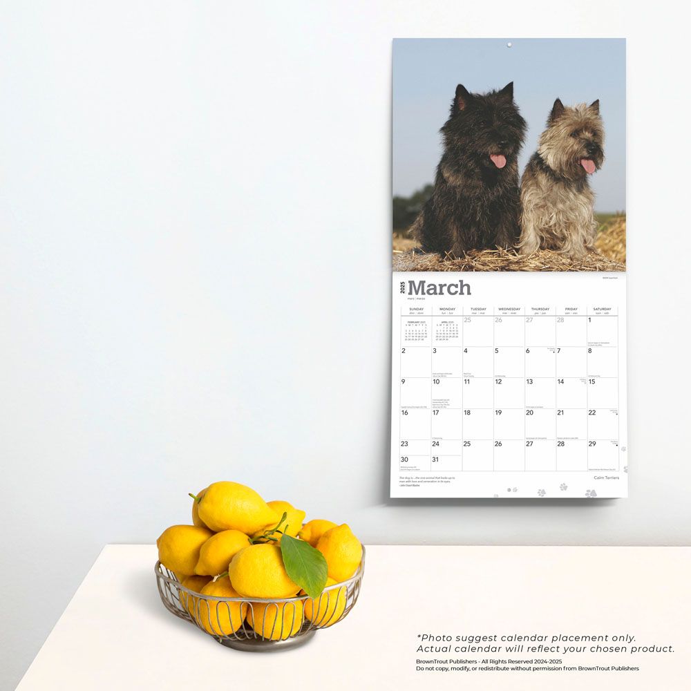 2025 Cairn Terriers Calendar