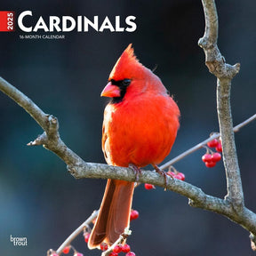 2025 Cardinals Calendar