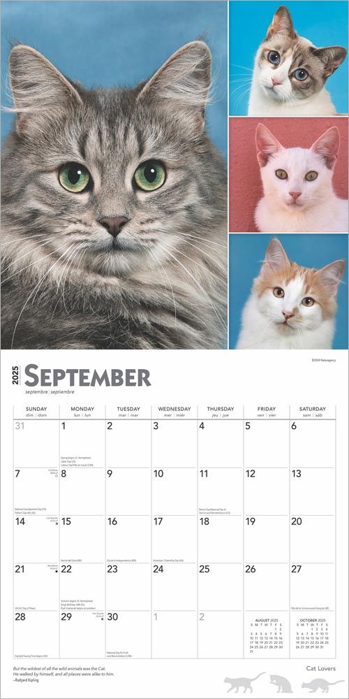 2025 Cat Lovers Calendar