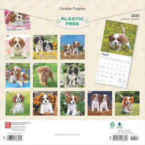 2025 Cavalier King Charles Spaniels Puppies Calendar