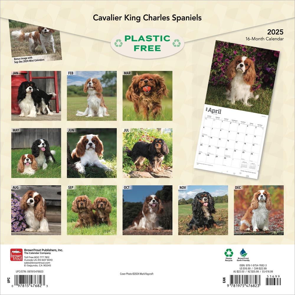 2025 Cavalier King Charles	Spaniels Calendar