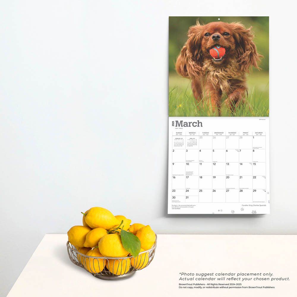 2025 Cavalier King Charles	Spaniels Calendar