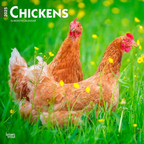 2025 Chickens Calendar