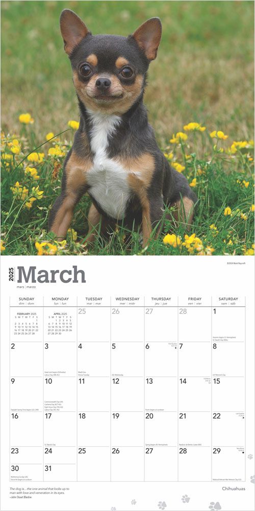 2025 Chihuahua Calendar