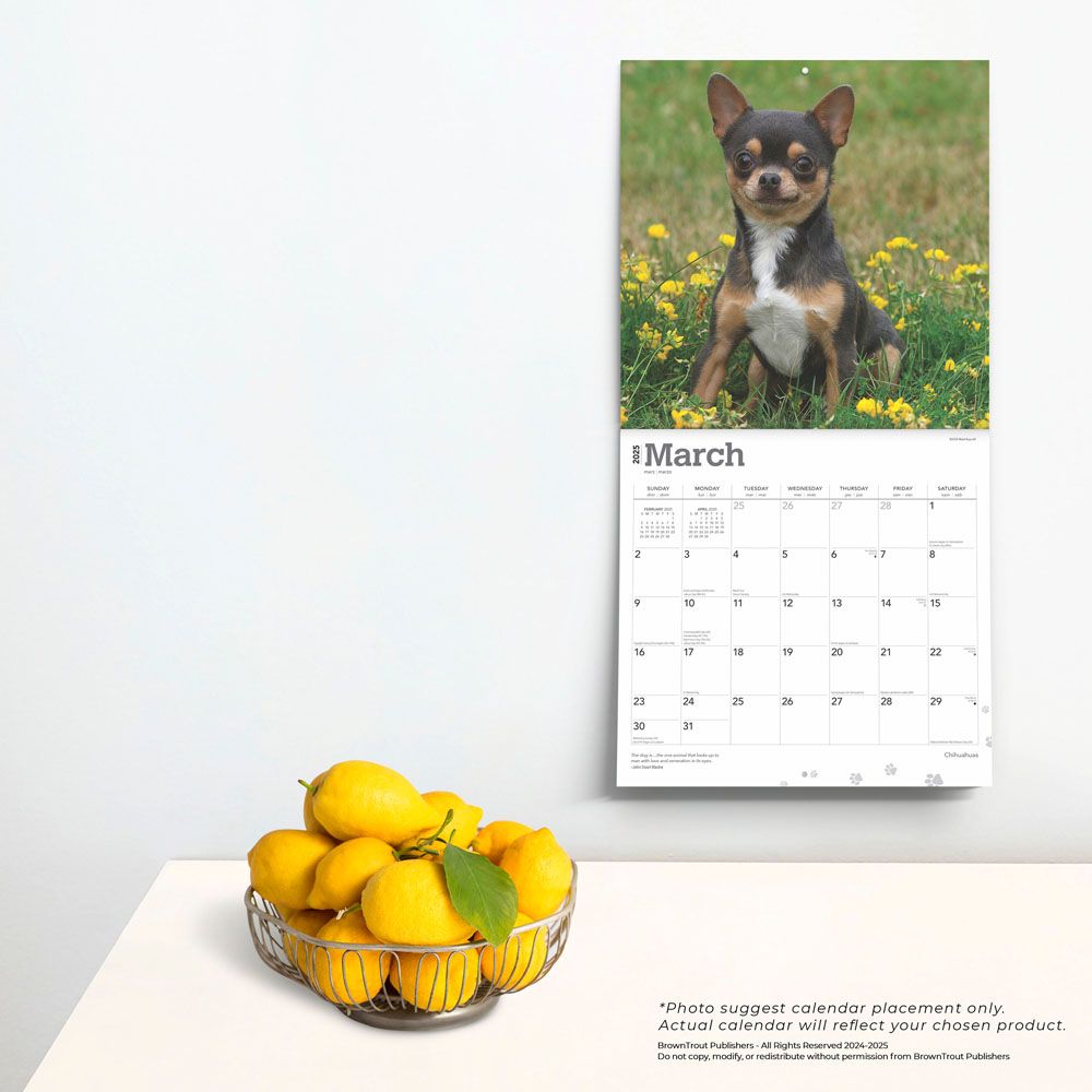 2025 Chihuahua Calendar