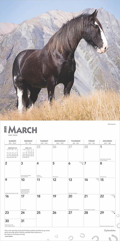 2025 Clydesdales Calendar