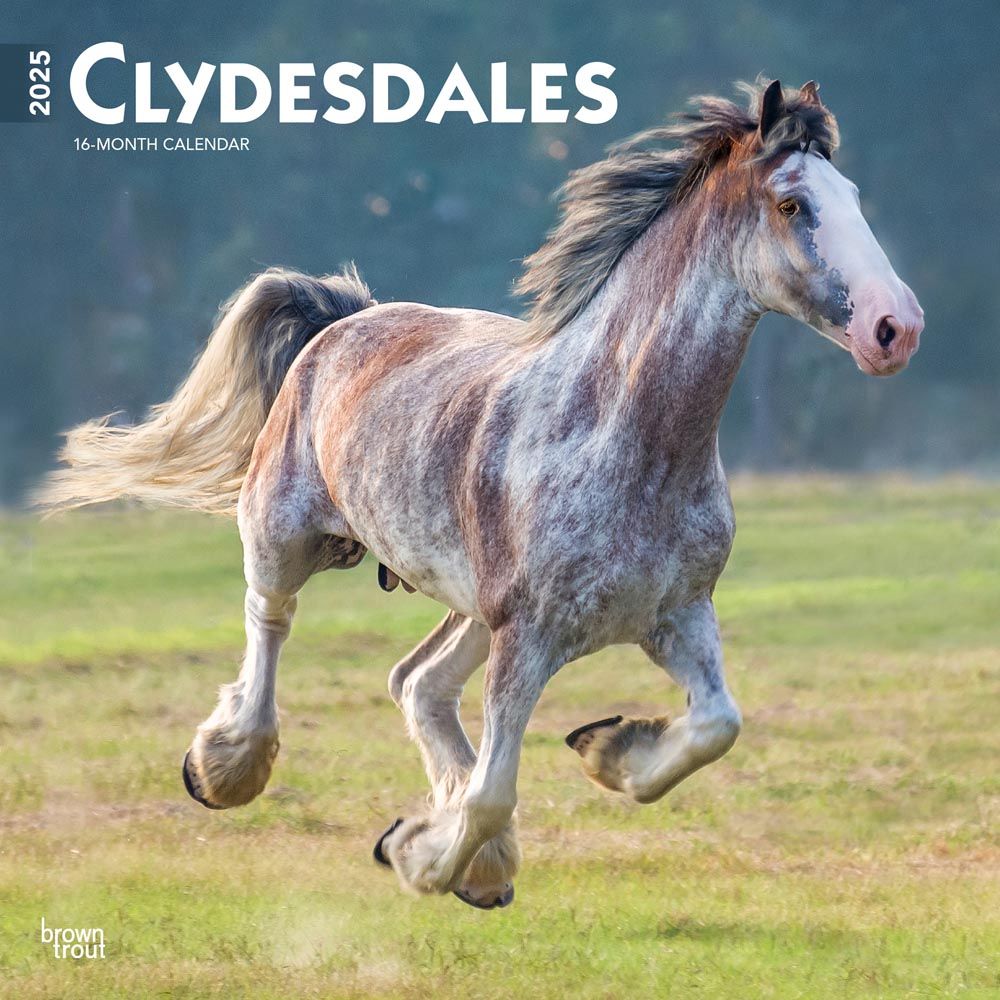 2025 Clydesdales Calendar