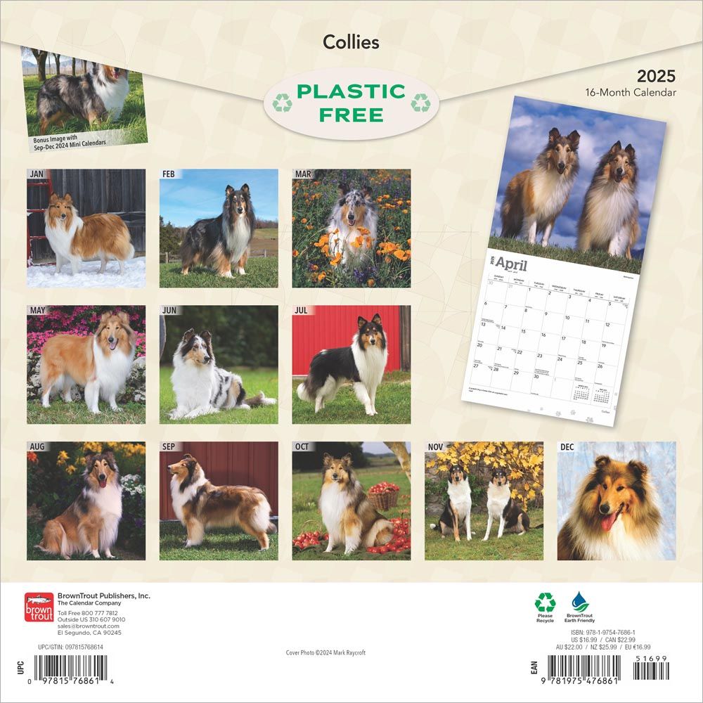 2025 Collies Calendar