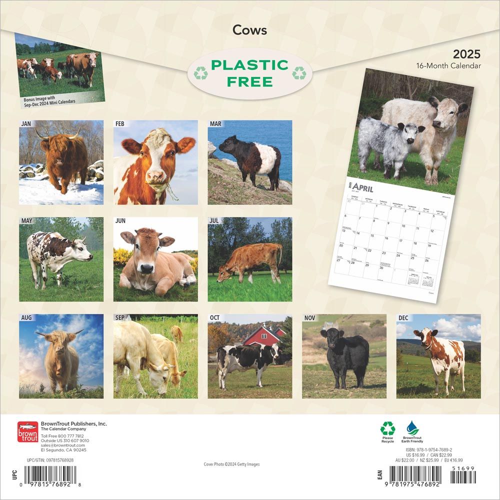 2025 Cows Calendar