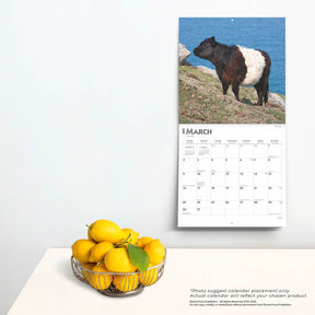 2025 Cows Calendar