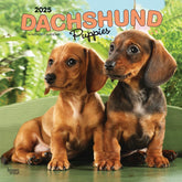 2025 Dachshund Puppies Calendar