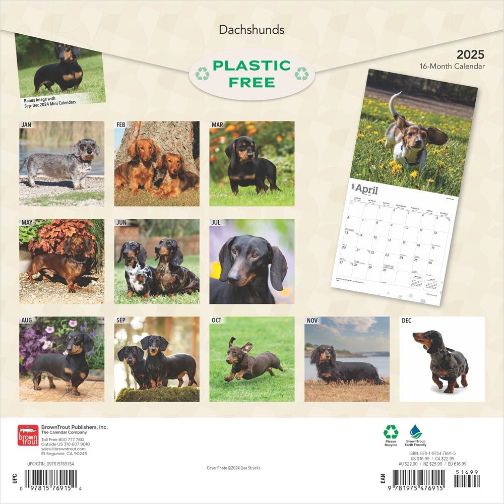 2025 Dachshunds Calendar