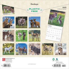 2025 Donkeys Calendar