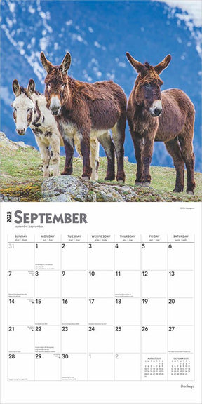 2025 Donkeys Calendar