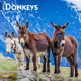 2025 Donkeys Calendar