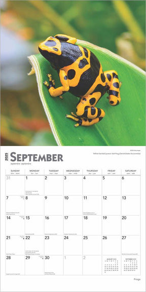 2025 Frogs Calendar