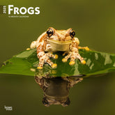 2025 Frogs Calendar