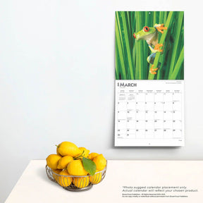 2025 Frogs Calendar