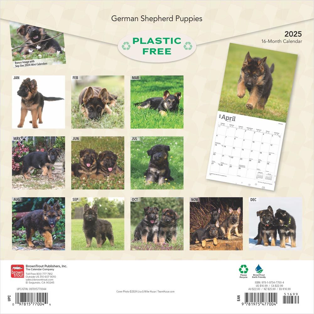 2025 German Shepherd Puppies Calendar